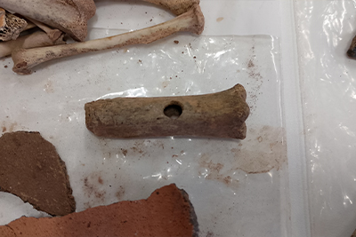 medieval bone