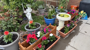 photo of garden pots with flowers